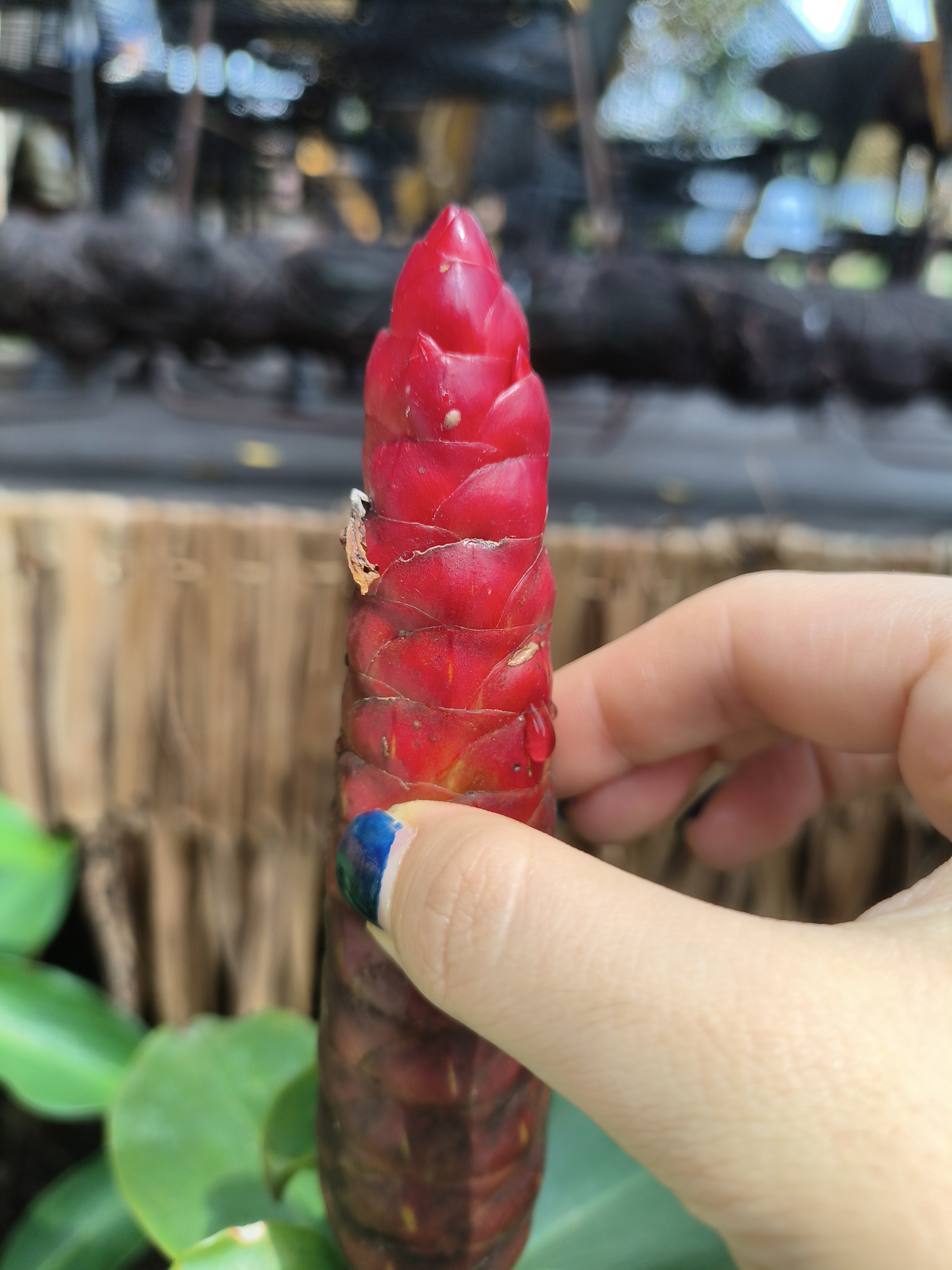 一捏就流透明的液体